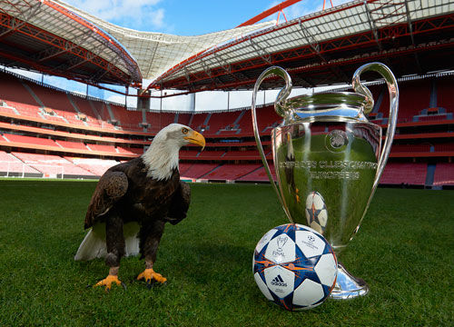 年轻控卫的 年轻控卫的