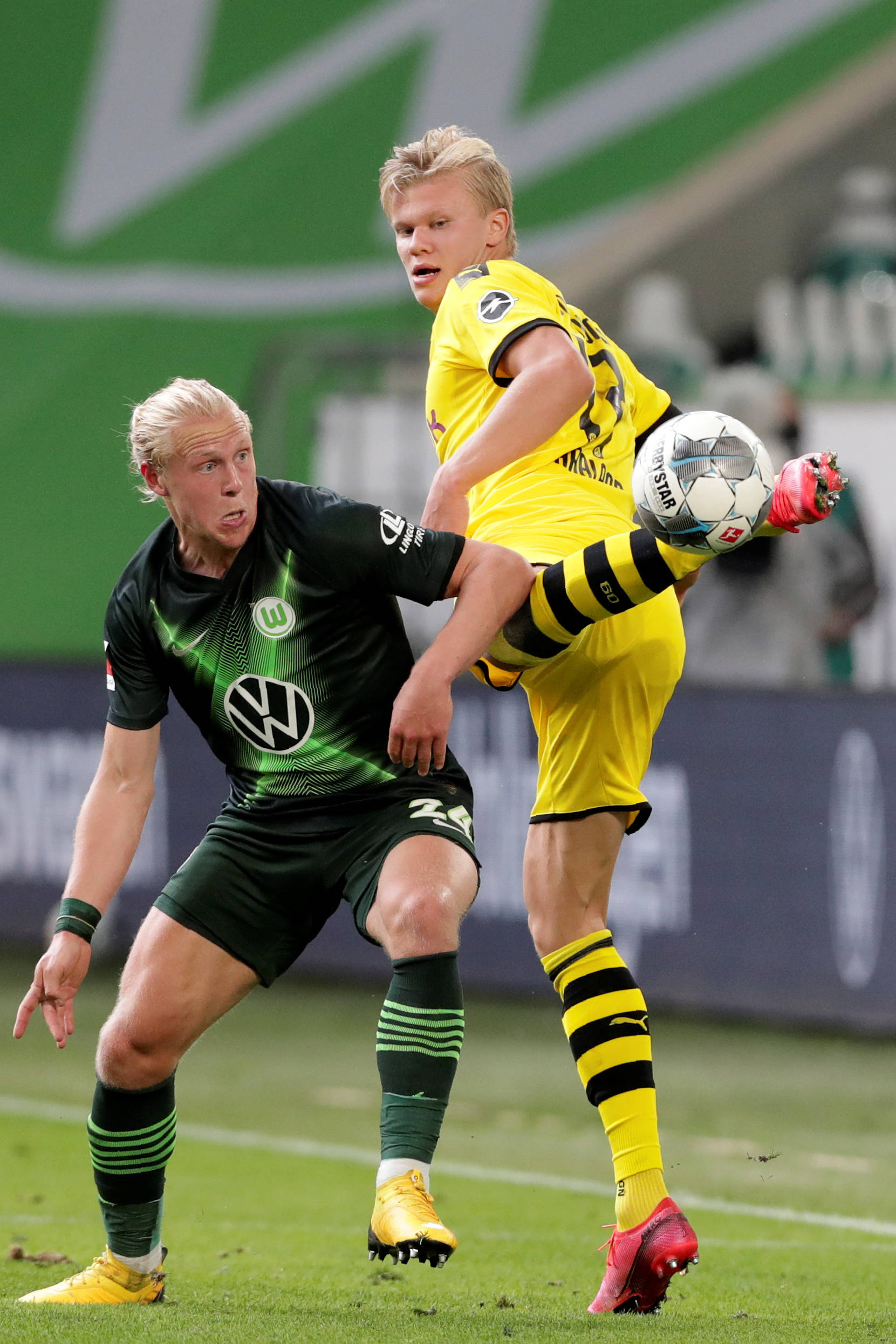 都高于自己 都高于自己