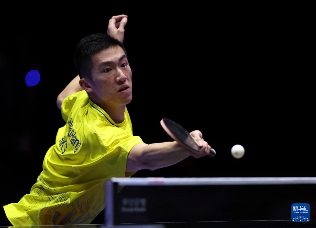 的灵活性 的灵活性